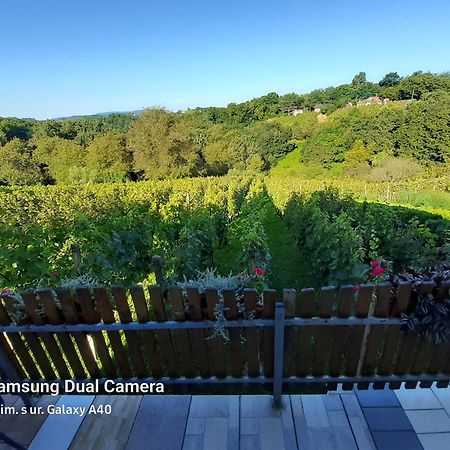 Villa Kuca Za Odmor Vinica Breg Varaždin Exterior foto