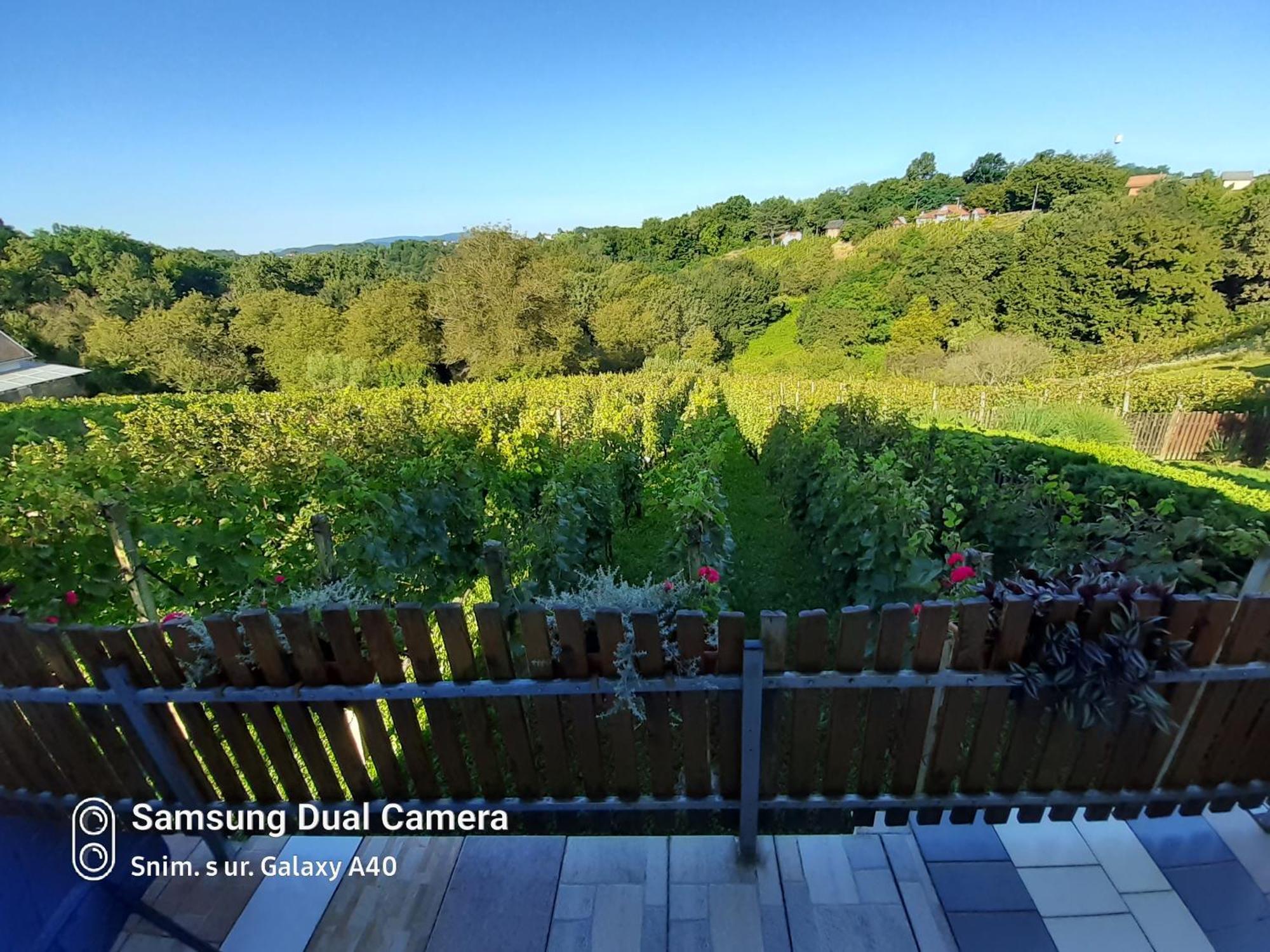 Villa Kuca Za Odmor Vinica Breg Varaždin Exterior foto