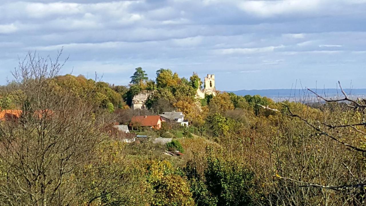 Villa Kuca Za Odmor Vinica Breg Varaždin Exterior foto